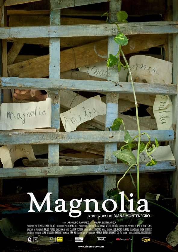 Afiche Magnolia