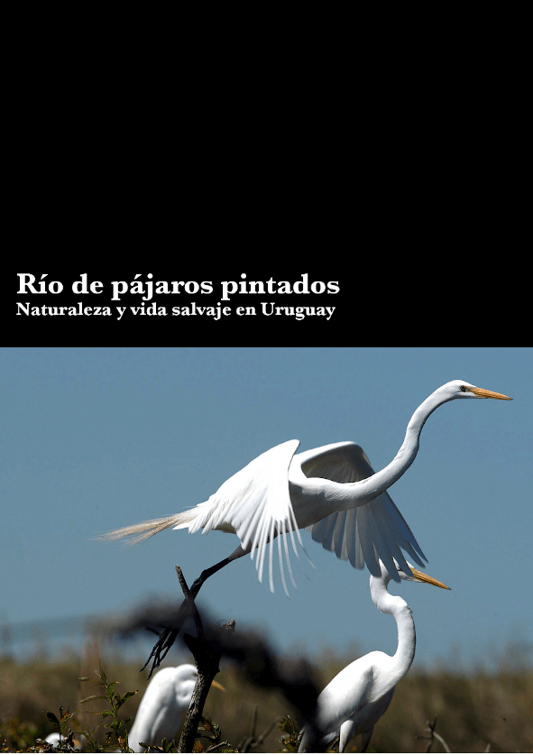 Afiche Río de pájaros pintados