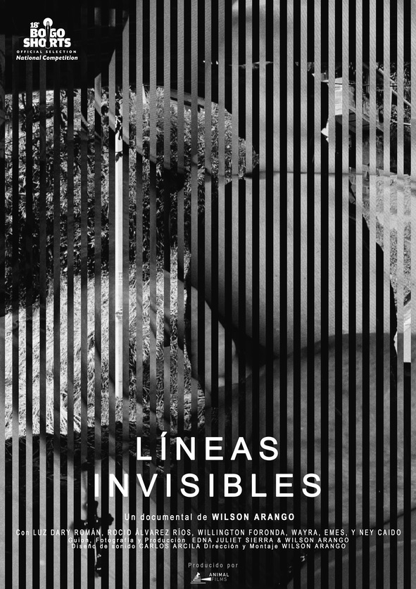 Miniatura afiche Líneas invisibles