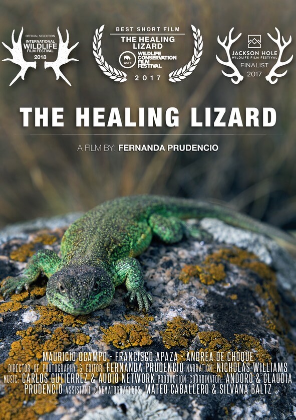 Miniatura afiche The Healing Lizard