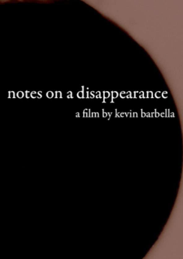 Afiche Notes on a Disappearance