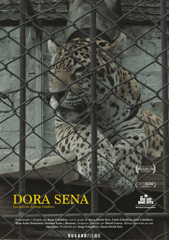 Afiche Dora Sena