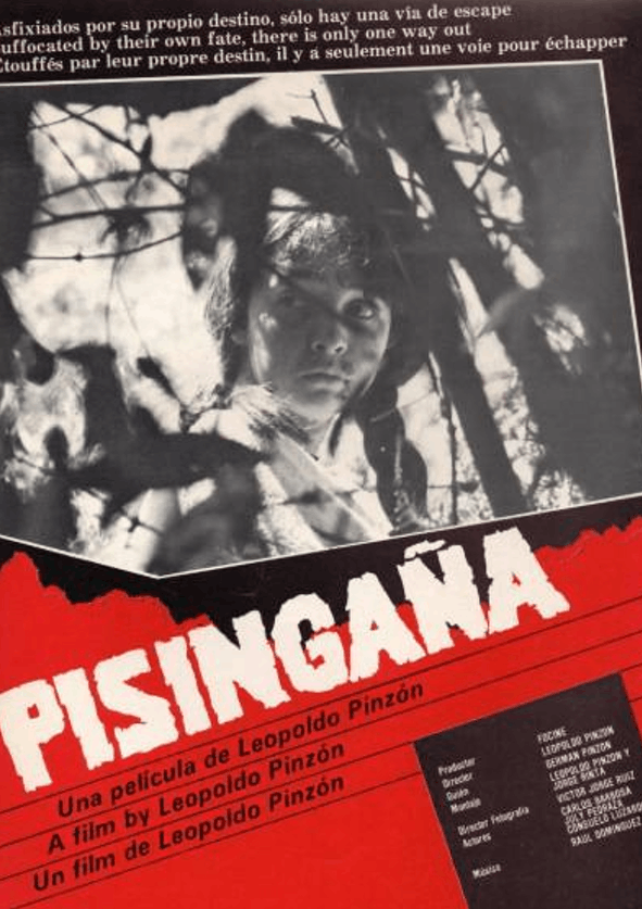 Afiche Pisingaña