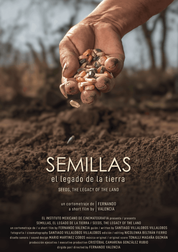 Miniatura afiche Semillas, el legado de la tierra