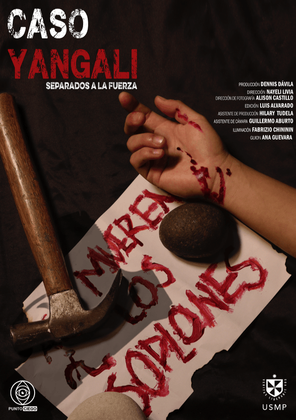 Miniatura afiche Caso Yangali: Separados a la fuerza