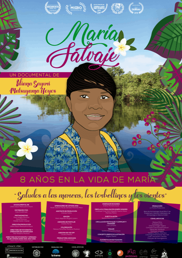 Afiche María Salvaje