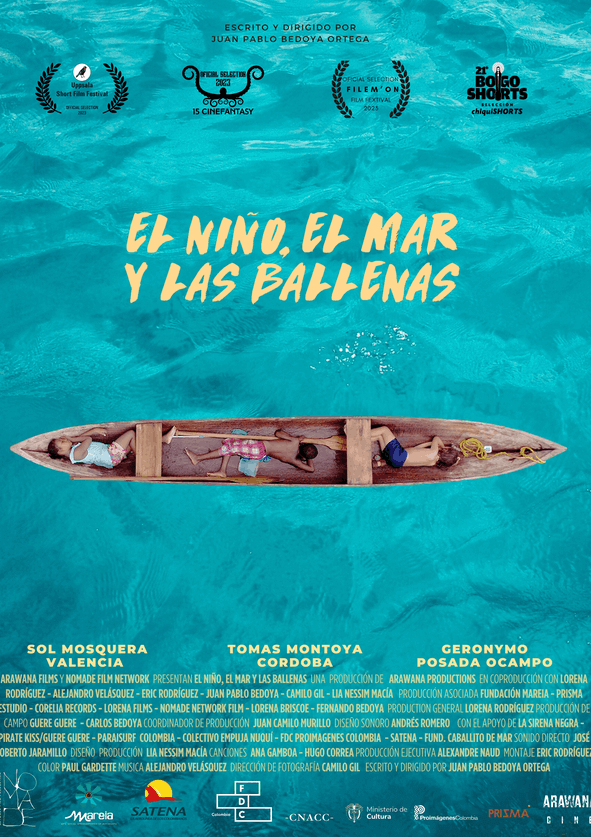 Miniatura afiche El niño, el mar y las ballenas