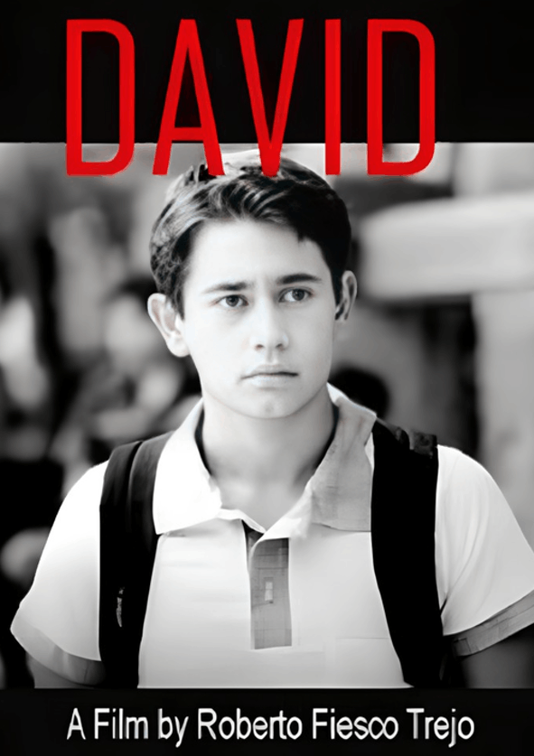 Afiche David
