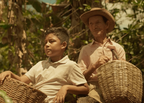 Imagen destacada de la película: Mi abuelo Anselmo