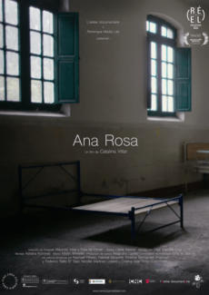 Afiche Ana Rosa