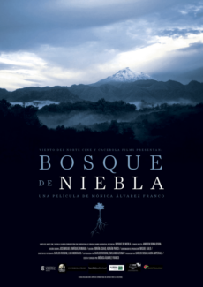 Afiche Bosque de niebla