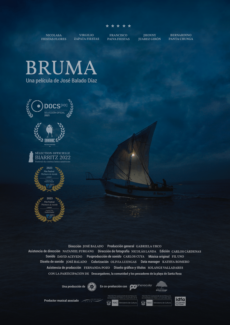 Afiche Bruma