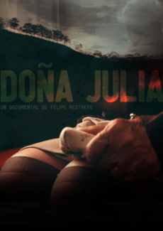 Afiche Doña Julia