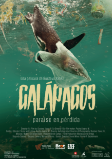 Afiche Galápagos paraíso en pérdida