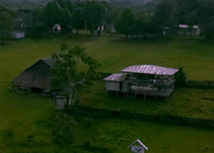 Imagen destacada de la película El Camino de Regreso a la Maloca