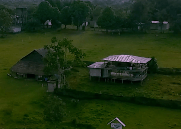 Imagen destacada de la película: El Camino de Regreso a La Maloca