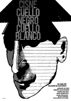 Afiche Cisne cuello negro, cuello blanco