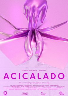 Afiche Acicalado