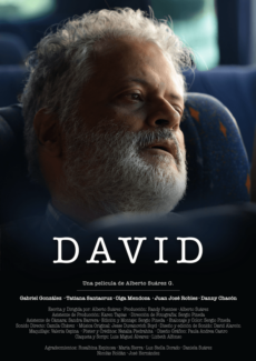 Afiche David