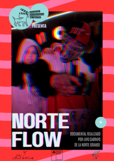 Afiche Norte Flow