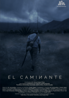 Afiche El Caminante